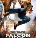 Falcon Rising 2014 Dvdrip