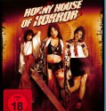 HORNY HOUSE OF HORROR (2010)
