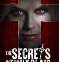 The Secrets of Emily Blair (2016)